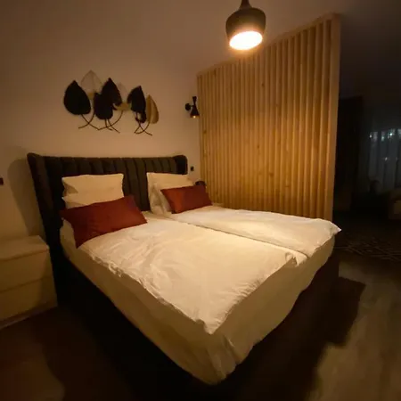 Dream Silver Mountain Apartment Poiana Brasov