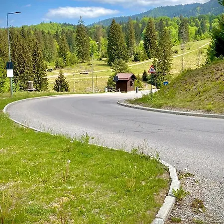 Dream Silver Mountain