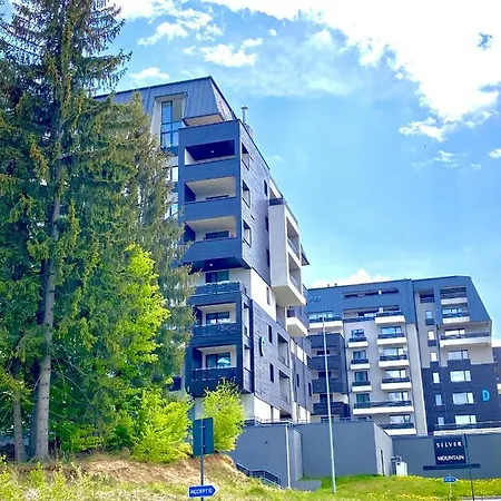 Dream Silver Mountain Apartment Poiana Brasov
